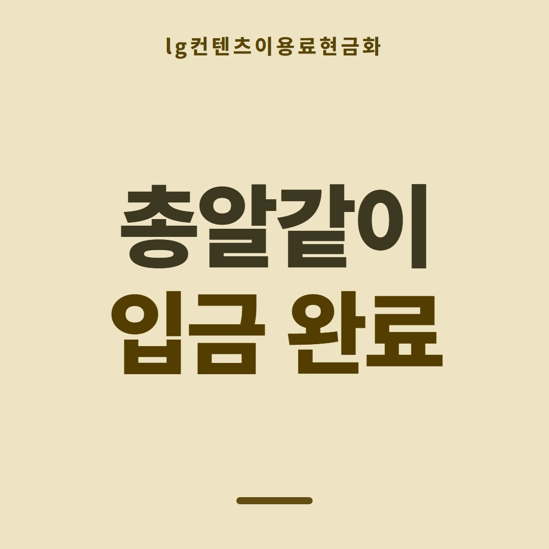 품티켓 LG 콘텐츠이용료 청구서 콘텐츠 갈래 안내 이미지